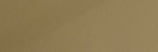 prfctEVOLution Profile Banner