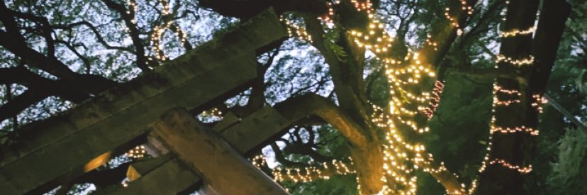 ForresterBilly's profile banner image