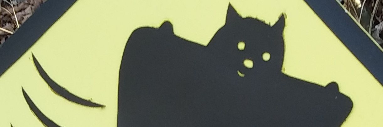 TDSDBB's profile banner image