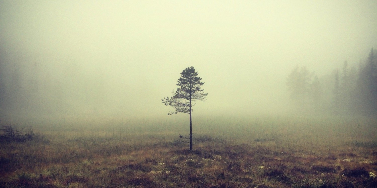 Mathias Rundgreen banner