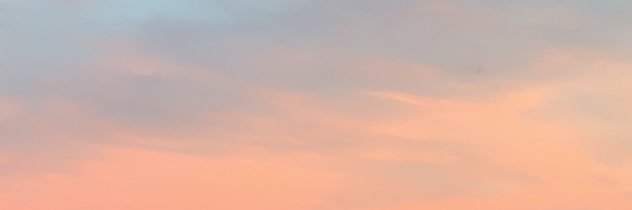 Ava_Glover's profile banner image
