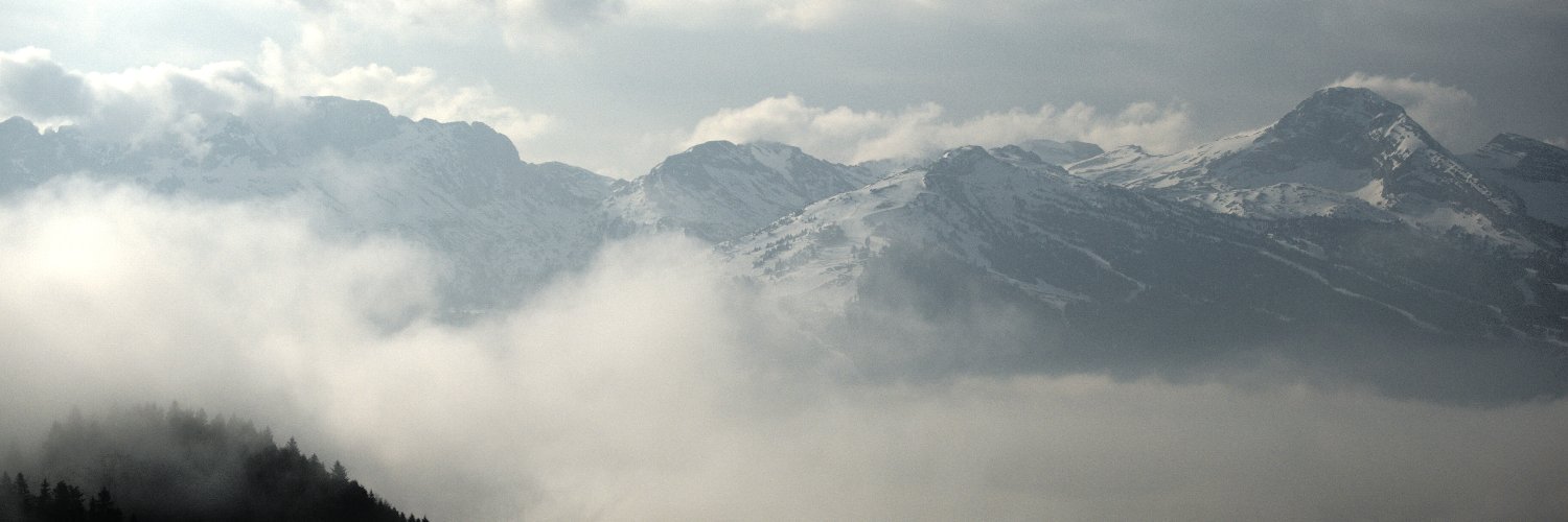 Robin 👣 banner
