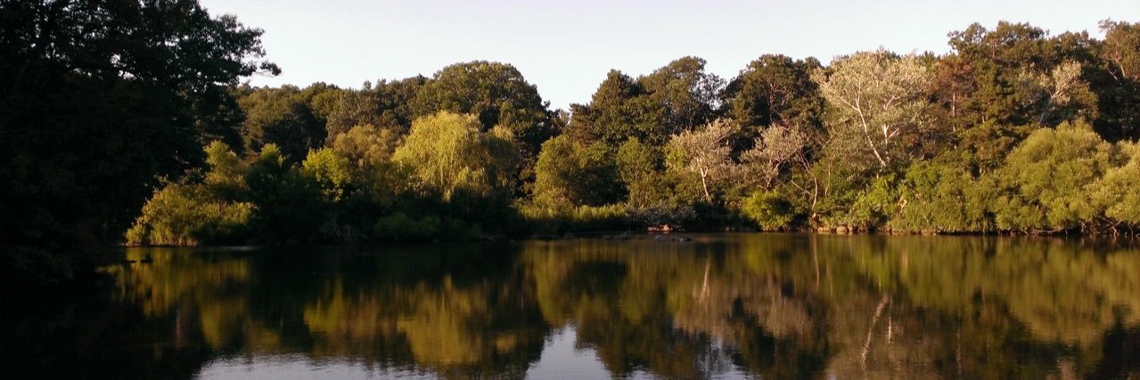 ofer987's profile banner image