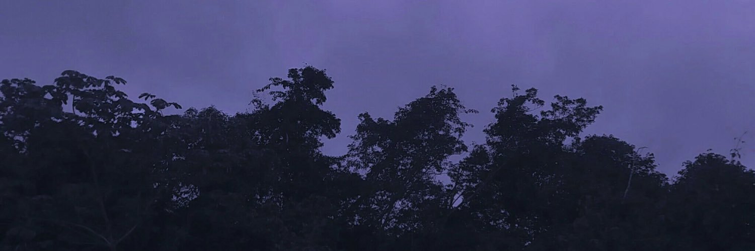 sarahjgoff's profile banner image