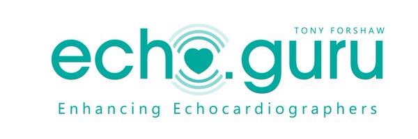 echoguru Profile Banner