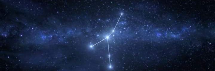 frvrmyvi's profile banner image
