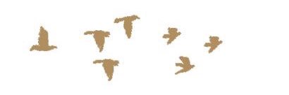 KaylaMorgillo's profile banner image