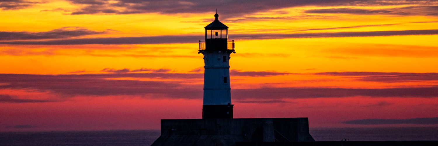 Minnesota Young DFL banner