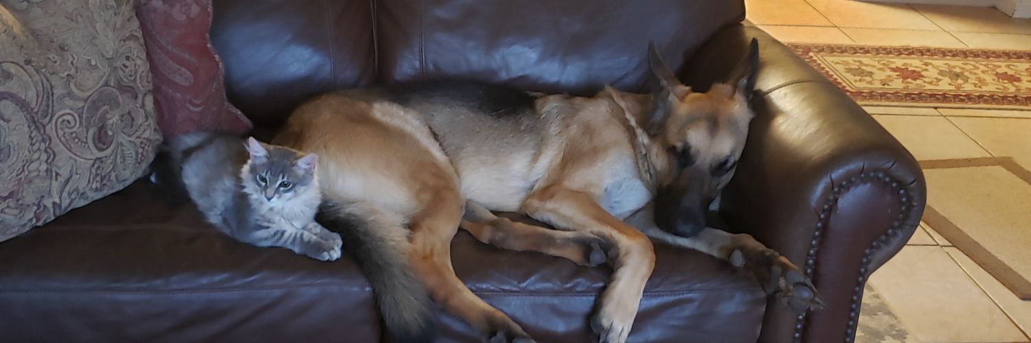 Andrea C, MPH banner