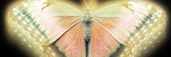 staciasamaya Profile Banner