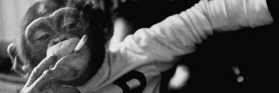 TheRealRobDank's profile banner image
