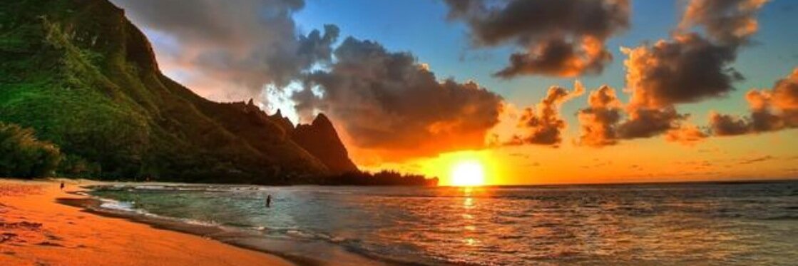 Alexis Coryell banner