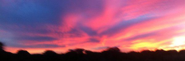 lauraffflor Profile Banner