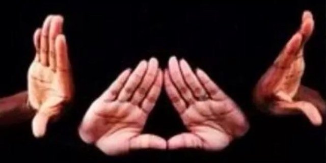 Nina Brown banner