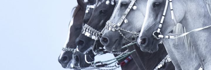dabal90's profile banner image