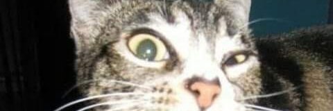 NeomTC's profile banner image