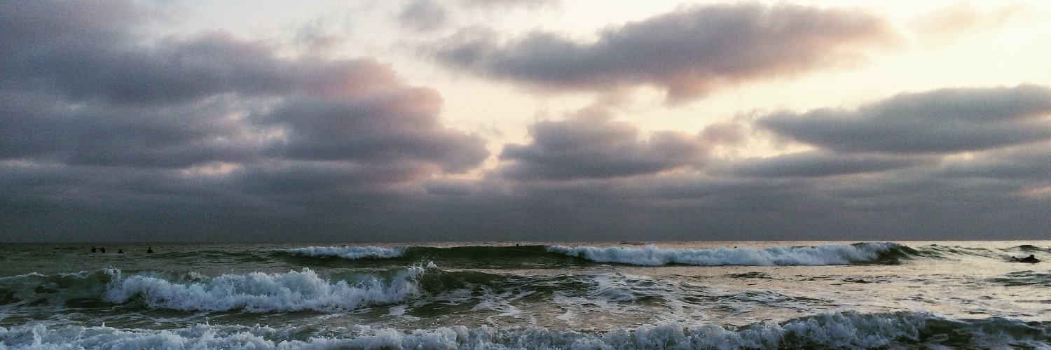 Adrienne Skillern banner