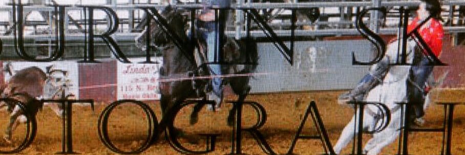 teamroper_17's profile banner image