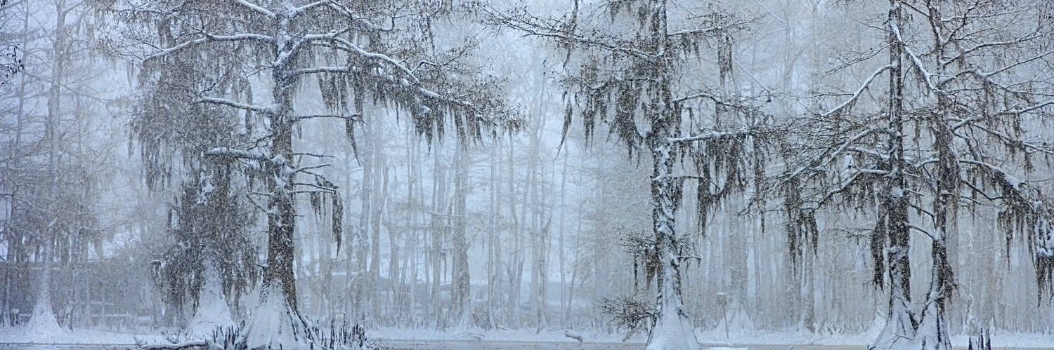 Zach💛Comics banner