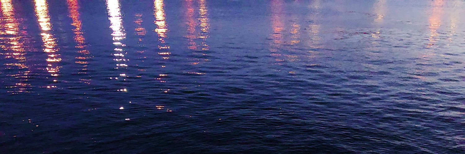 TorToricorn's profile banner image