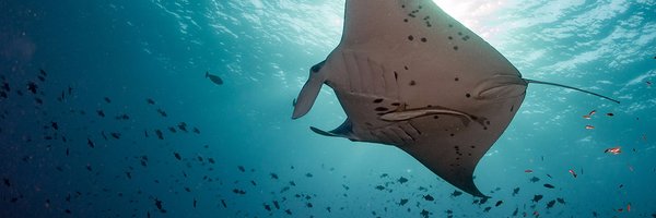 fsmdbank Profile Banner