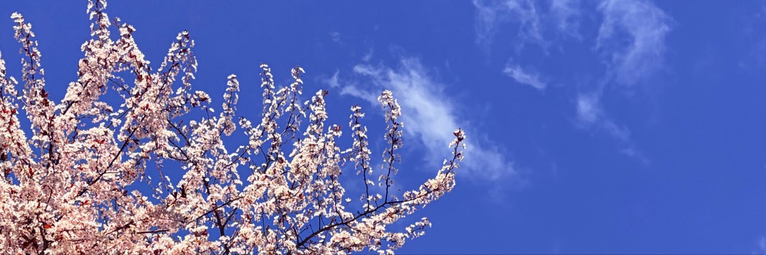 Tatataar0's profile banner image
