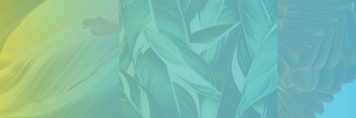 GLOBE_Series's profile banner image
