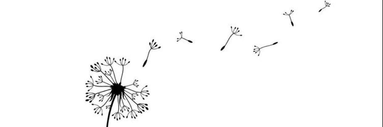 alexa_gamallo's profile banner image