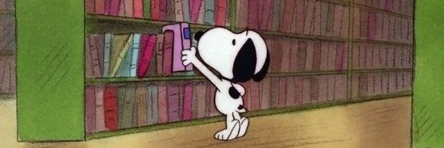 psicotiti's profile banner image