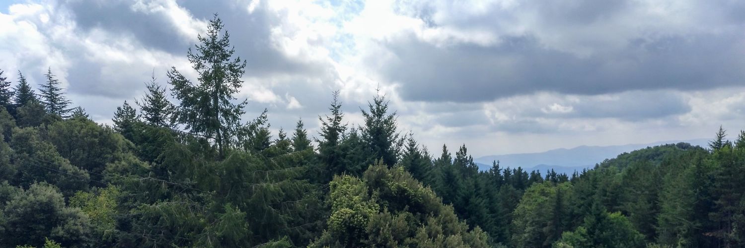 CUSASER's profile banner image