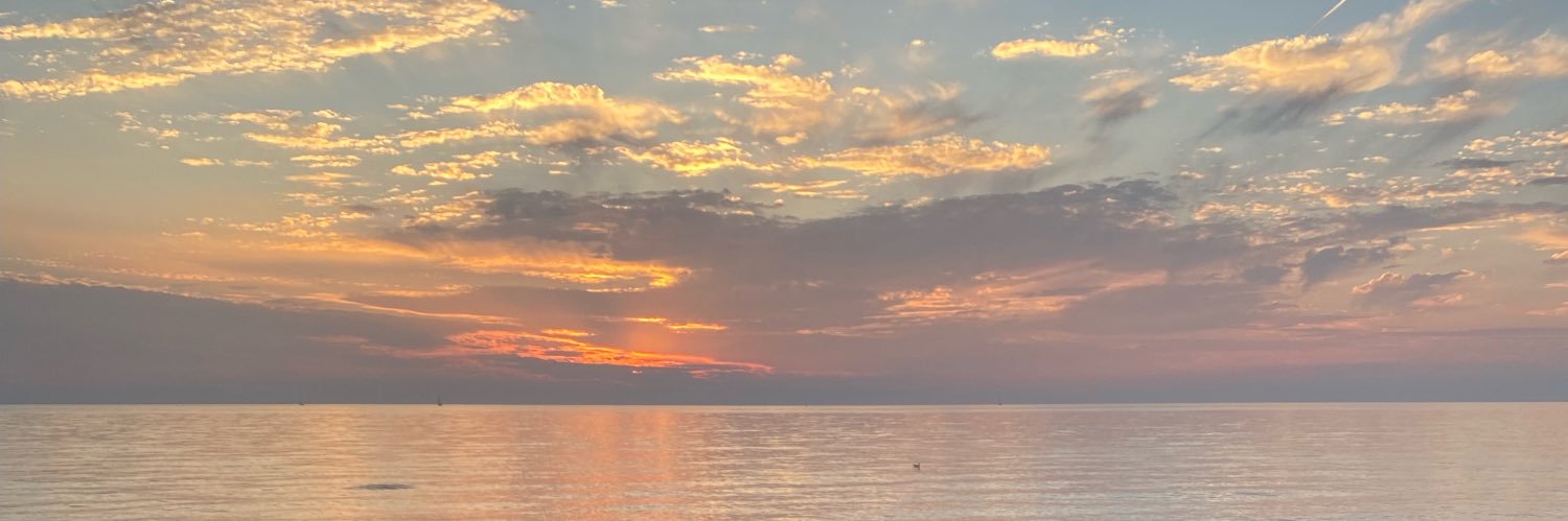 sowiththatsaid's profile banner image
