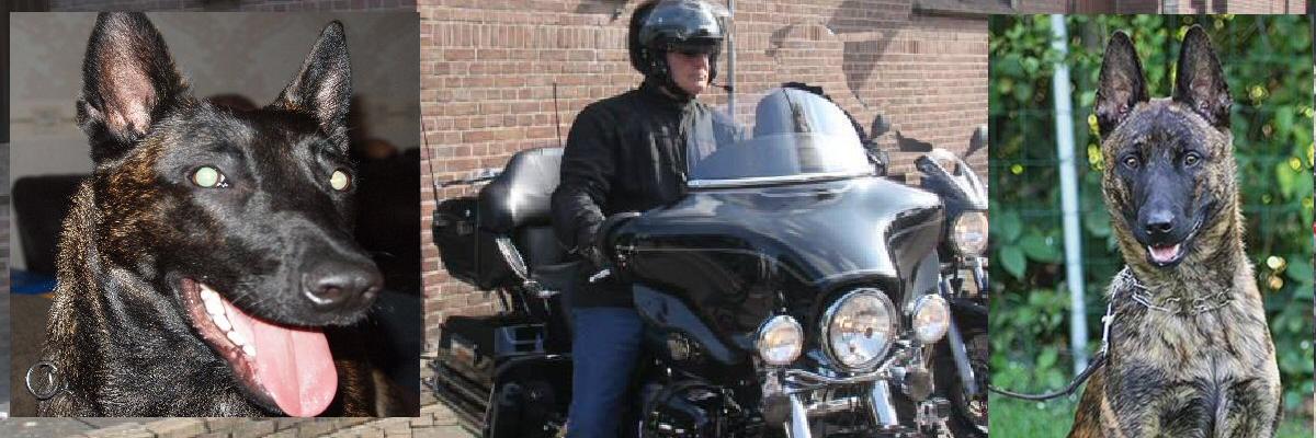 Hans_C_G's profile banner image