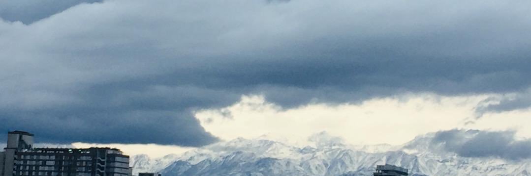 carmenbritol's profile banner image