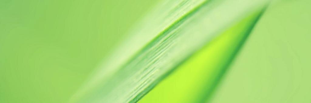 JoeMacLaw1's profile banner image