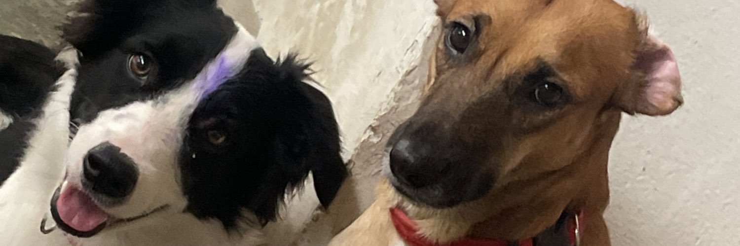 BryceeBassey's profile banner image