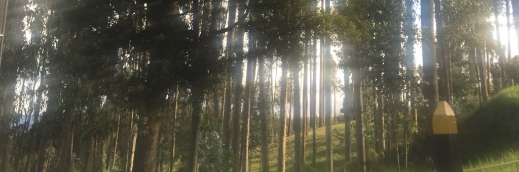 kleon892's profile banner image