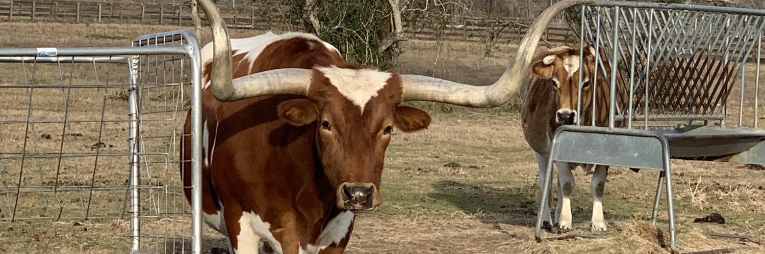 WendyECain's profile banner image