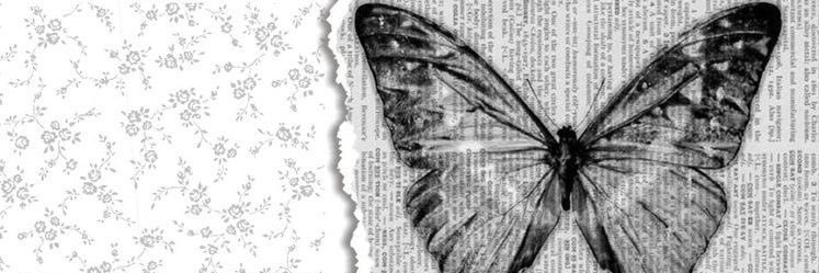 𝐇𝐚𝐲𝐥𝐞𝐲, 𝐁. banner