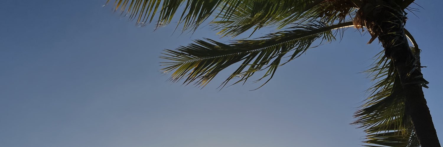 CedessDoe's profile banner image