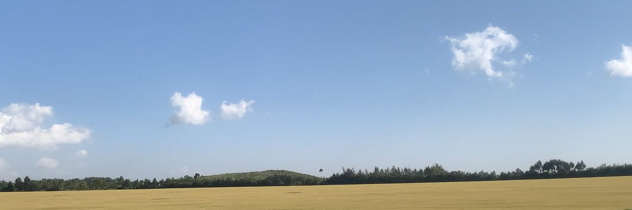 Ŧшïтт_Ѡλғғłє🦦 banner