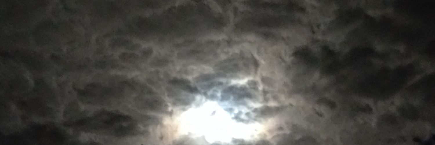 Matthew89358451's profile banner image