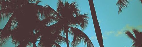 jenndiss's profile banner image