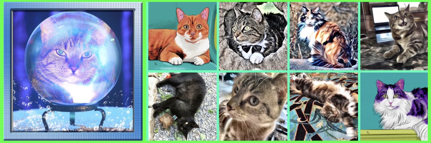 CatJunction's profile banner image