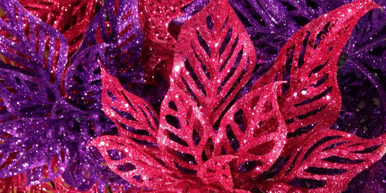 FrogsFortheCure's profile banner image
