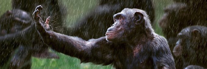 BASE of difference💡 banner