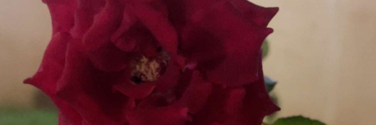 Gha077's profile banner image