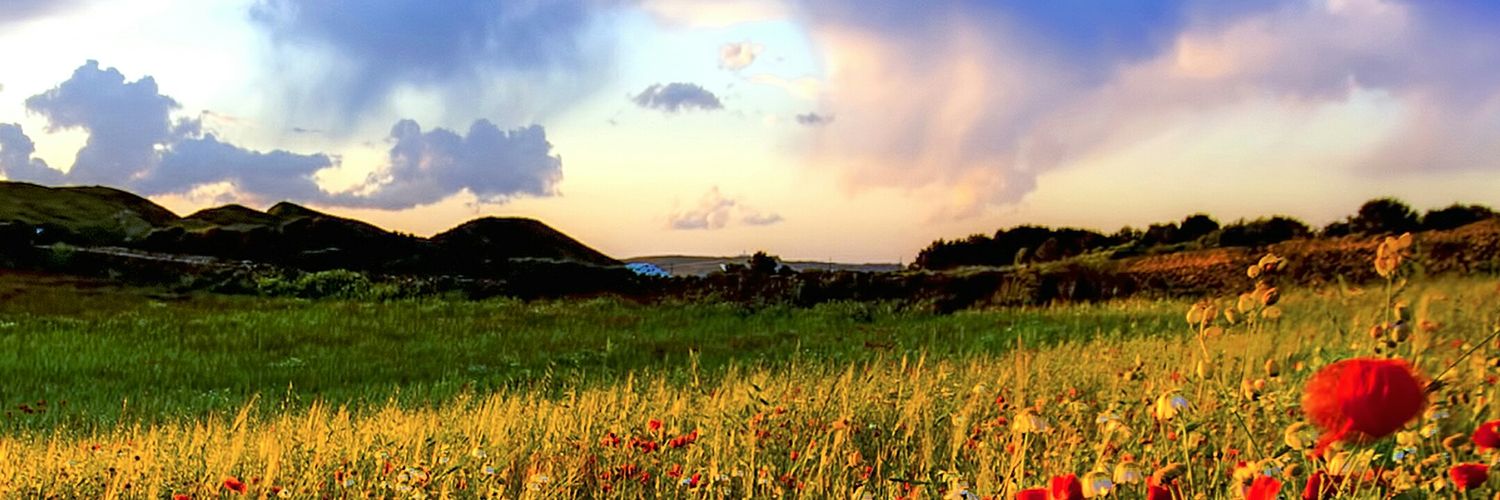 canchemistry's profile banner image