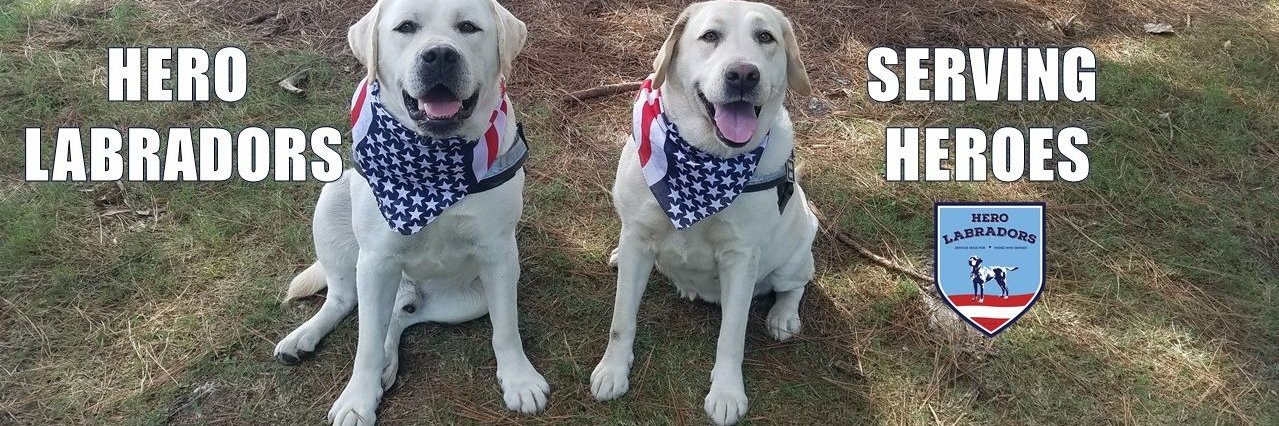 Hero Labradors banner