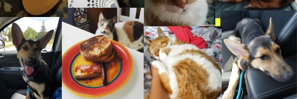 Catherine Torrento banner