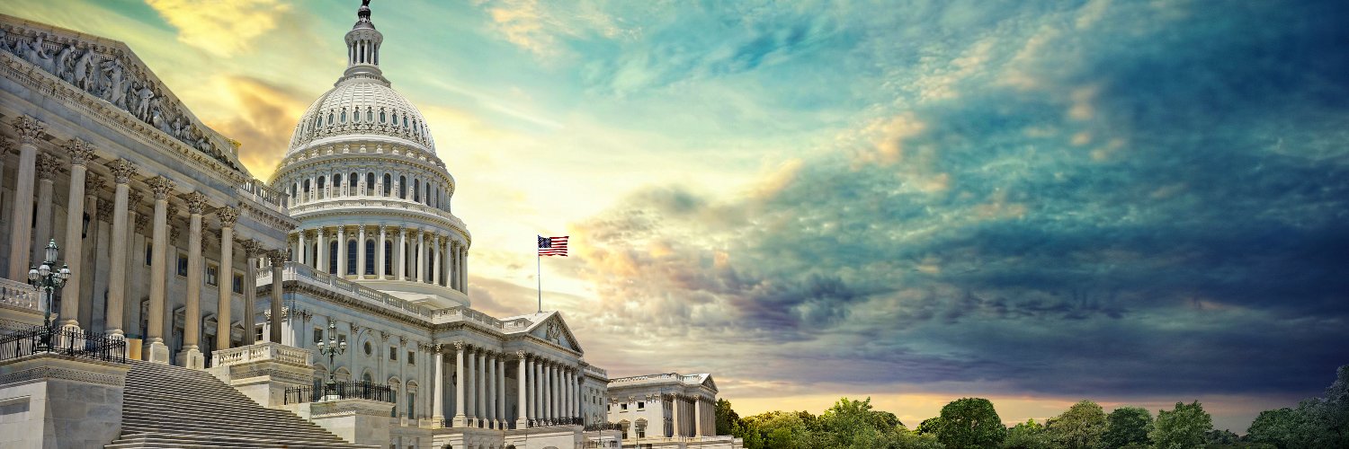 The National Security Institute's banner